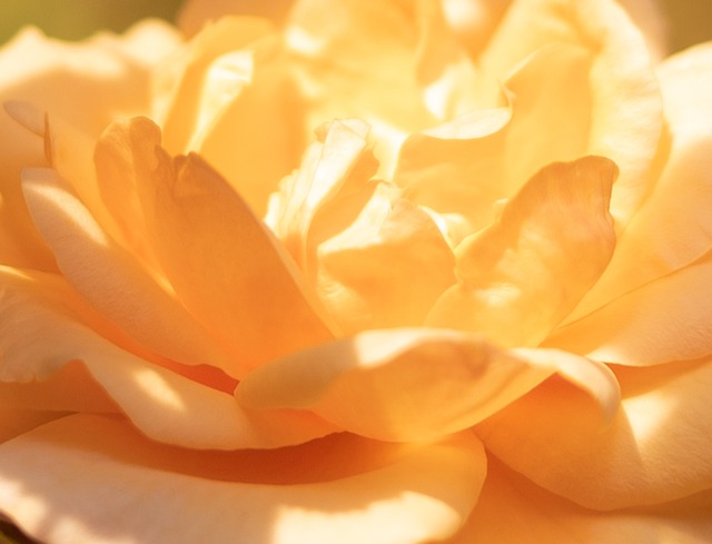 让他无需牺