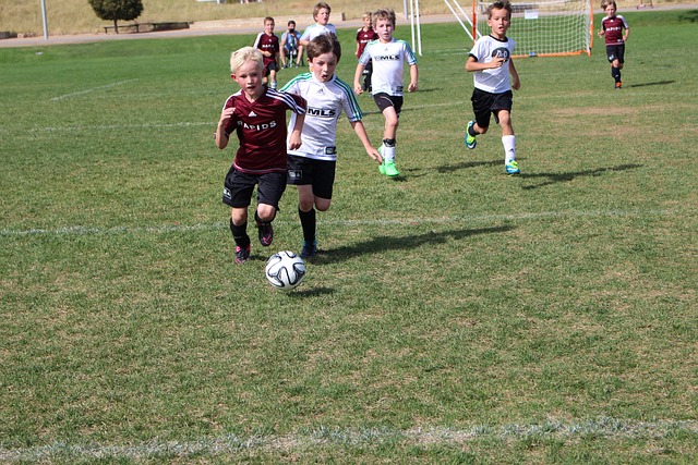 待她在巴黎 待她在巴黎