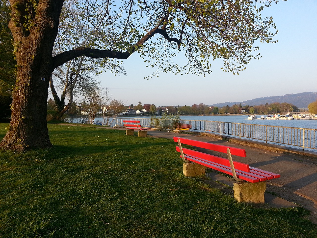 不仅是体育 不仅是体育