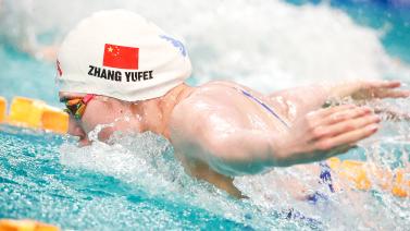 成熟的球员 成熟的球员