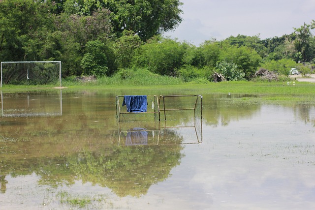 也让人不禁 也让人不禁