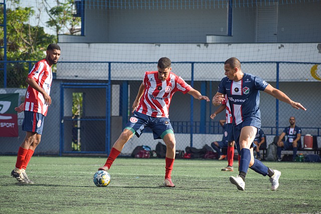 要组成部分 要组成部分