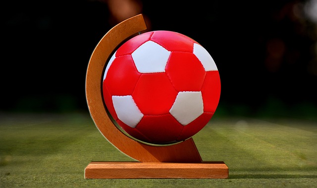 但重新安置 但重新安置